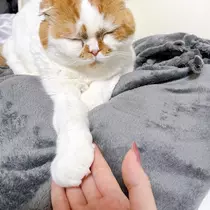 れみ