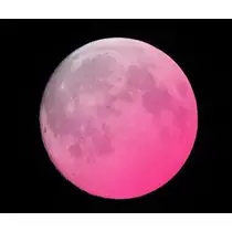 白石 愛莉