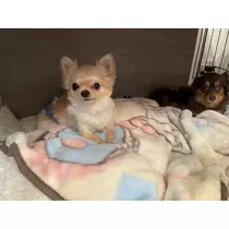 みらい