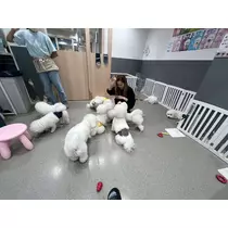 響音 涼