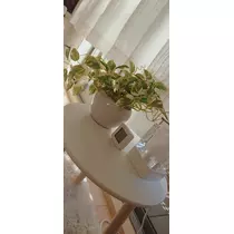 千兎 ちひろ