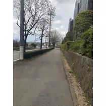 リョウカ