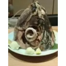 藤沢 のん