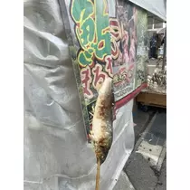 長瀬 純恋