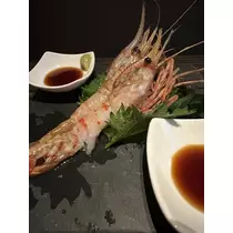白石 愛莉
