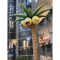 ぱき