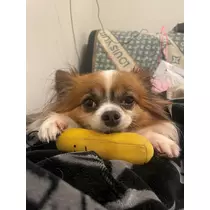 あいら