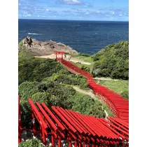 あおい