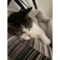 ユキ