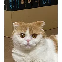 るな
