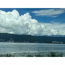 明菜