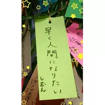 紫音