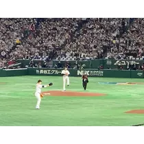 あみ