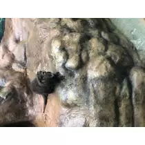宝條 夏恋