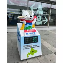 七星 夏純