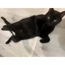 響