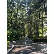 白咲 澪