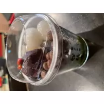 ちひろ