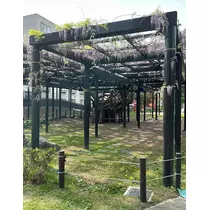 藤本 さや