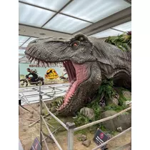 あこ