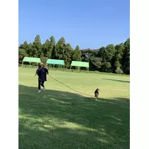 美羽