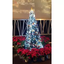 愛羽 仁美