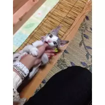 ゆま(20)