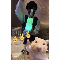 七星 夏純
