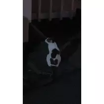 かずは