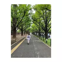 蓮
