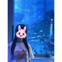 サヤ