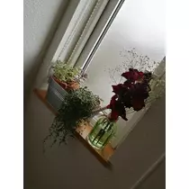 あや