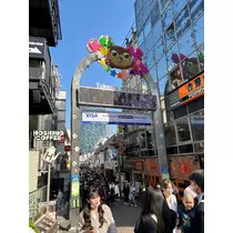 桜乃 咲美