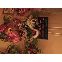 ひなの