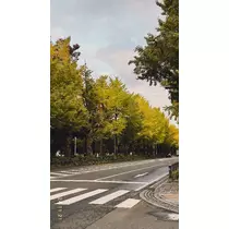 みお