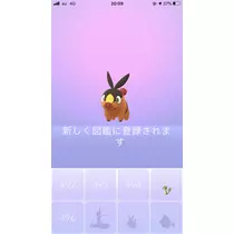 あみ