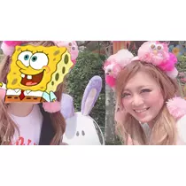 姫花