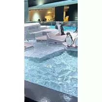 藤本 さや