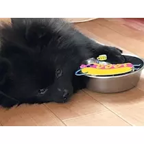 ティナ