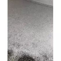 えりか