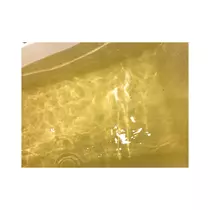 すず
