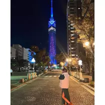 けいな
