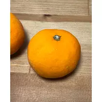 緑 四葉