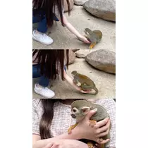 檀 れん