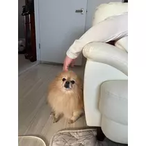 はるか