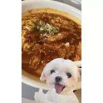 七星 夏純
