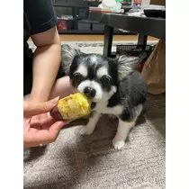片桐 さやか