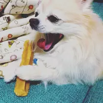 佑月 まゆ花