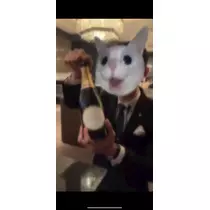 田中 レイ