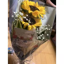 羽蘭